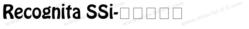 Recognita SSi字体转换